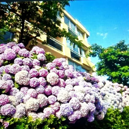 Au Calme - 4 Pers. - Fr-1-251-954 Apartman Bormes-les-Mimosas